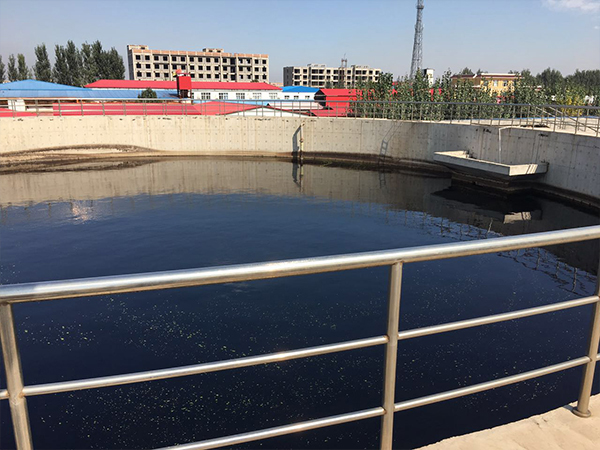 Sewage treatment plant