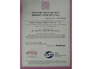 Safety certification